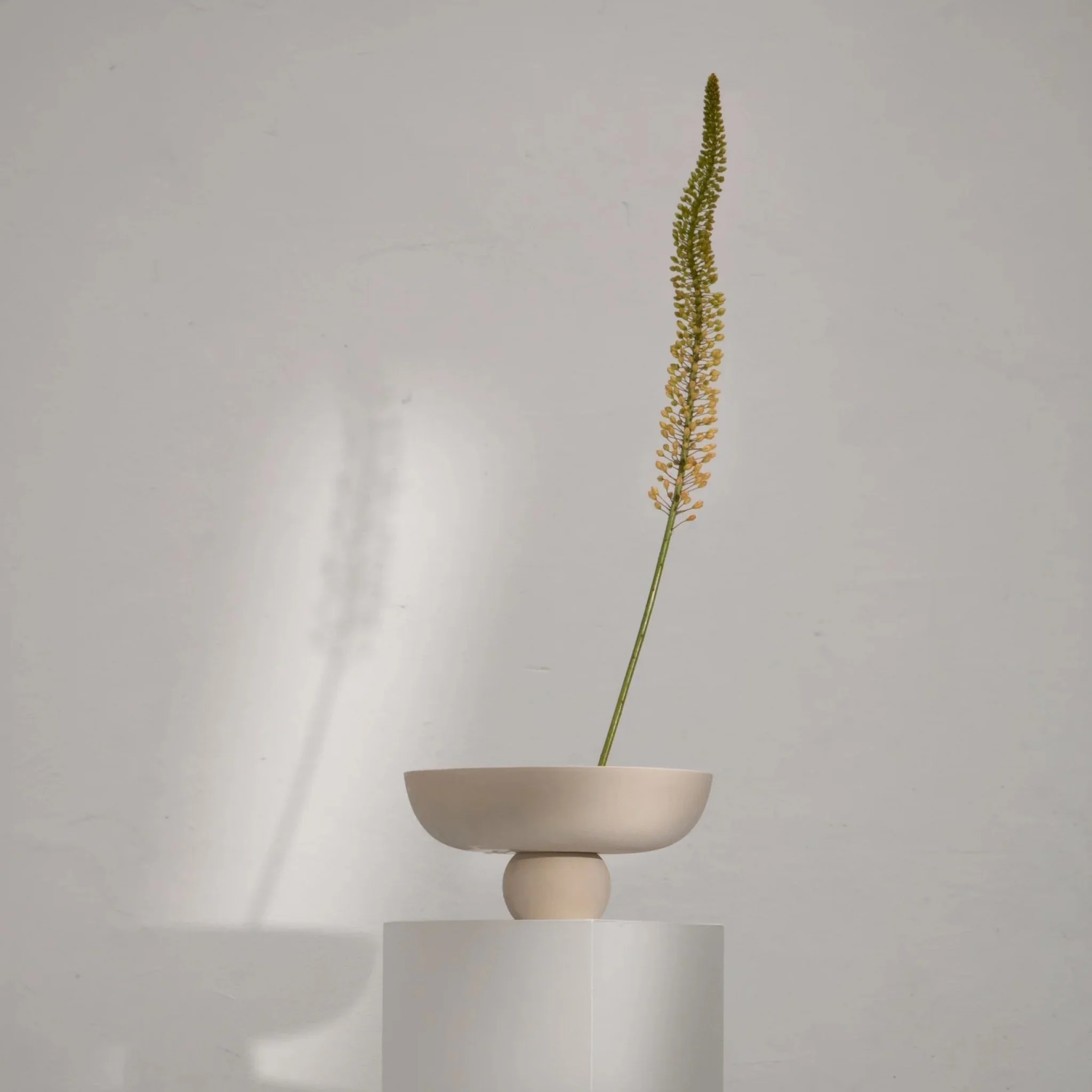 101 COPENHAGEN Baburu Bowl Medio, D30cm, Birch - Image 6
