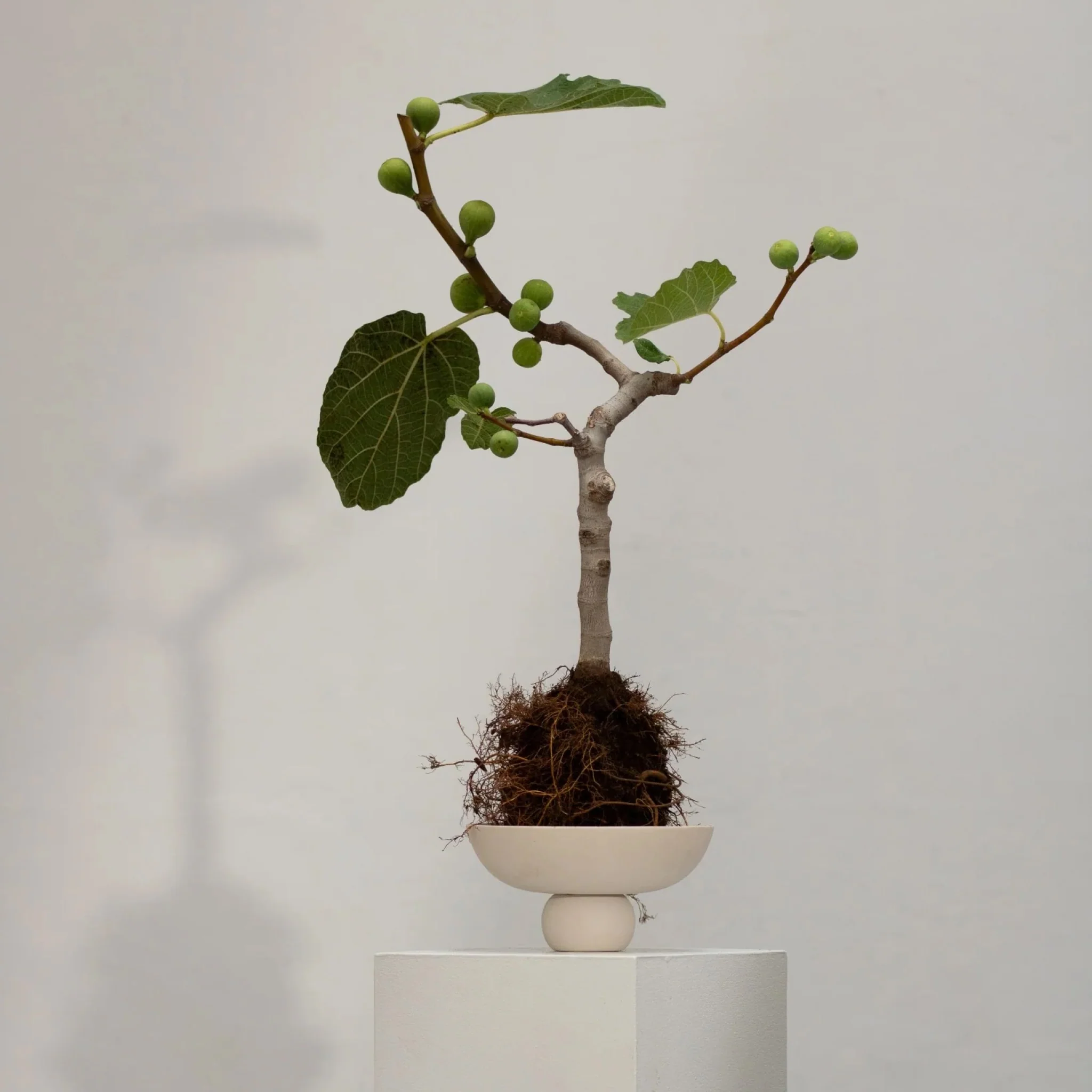 101 COPENHAGEN Baburu Bowl Mini, D20cm Birch - Image 4