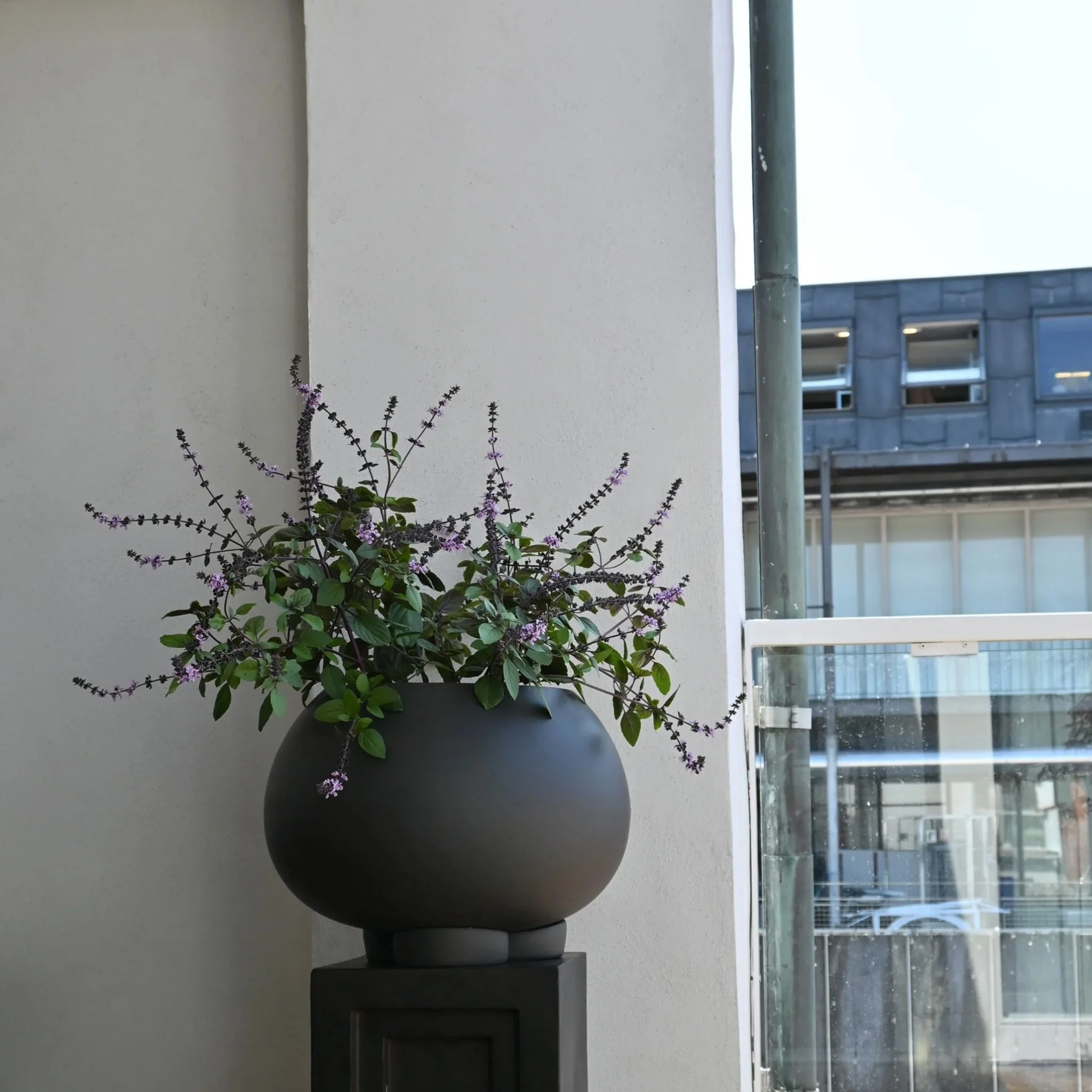 101 COPENHAGEN Urchin Plant Pot, Medio, D46c, Coffee - Image 2
