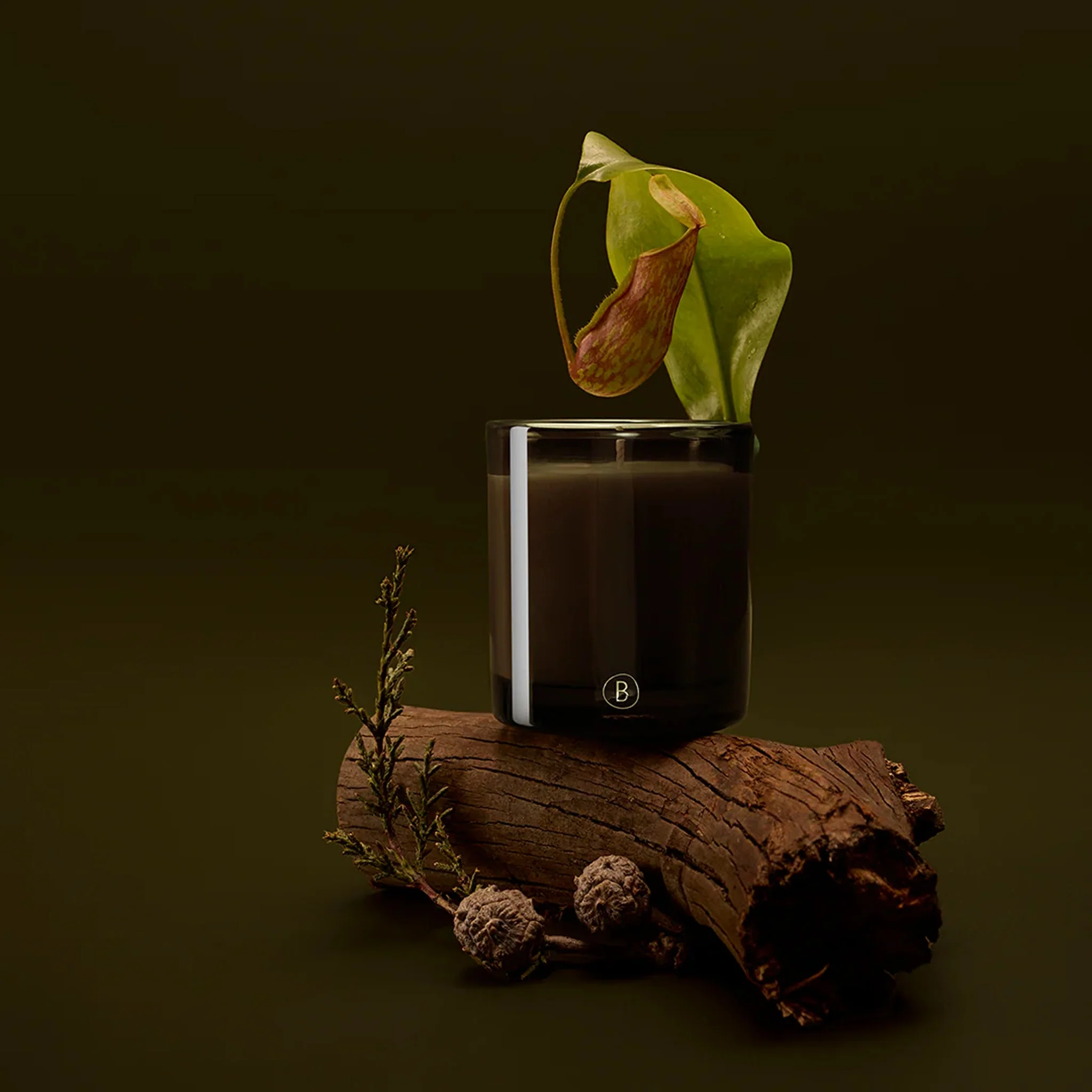 BLACK BLAZE Bush Walk Scented Candle - Image 9