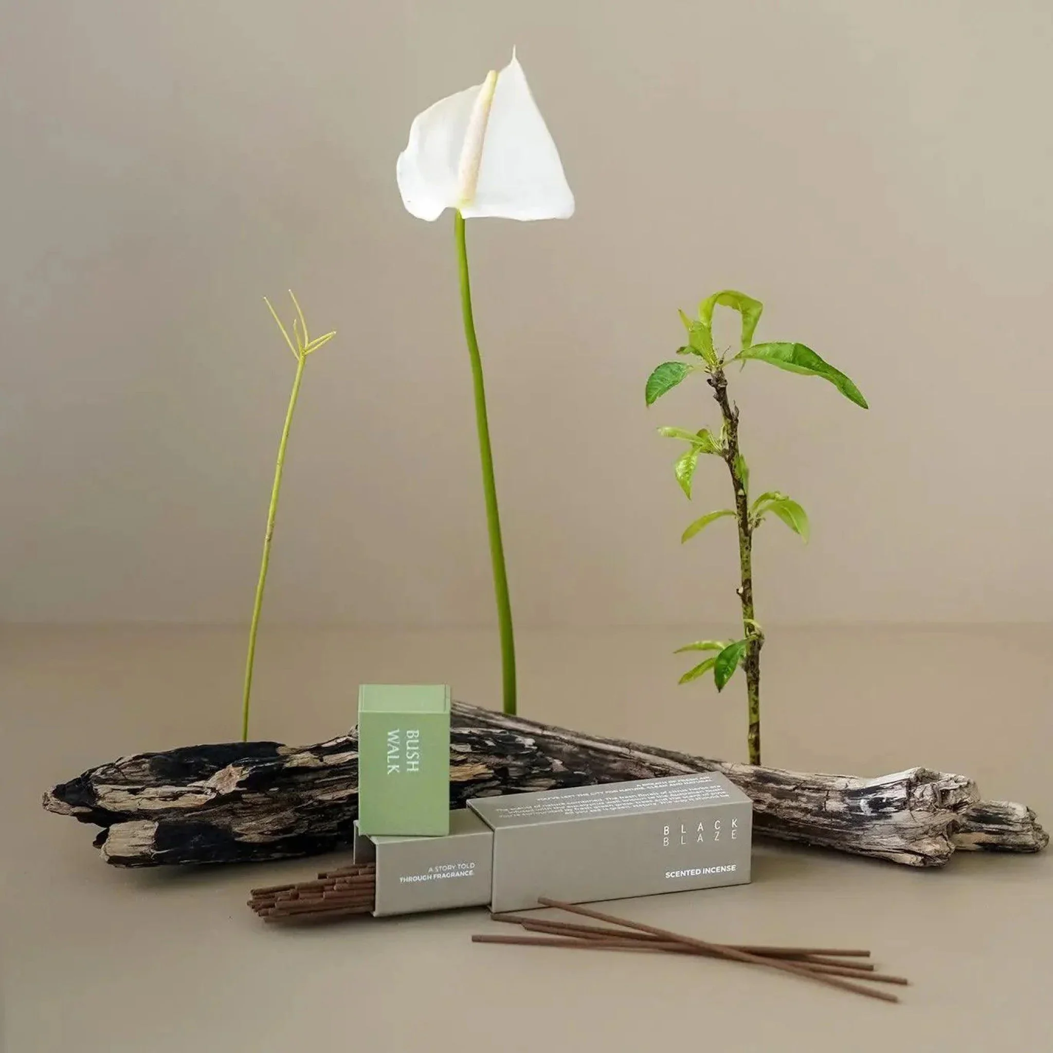 BLACK BLAZE Scented Incense, Bush Walk - Image 2