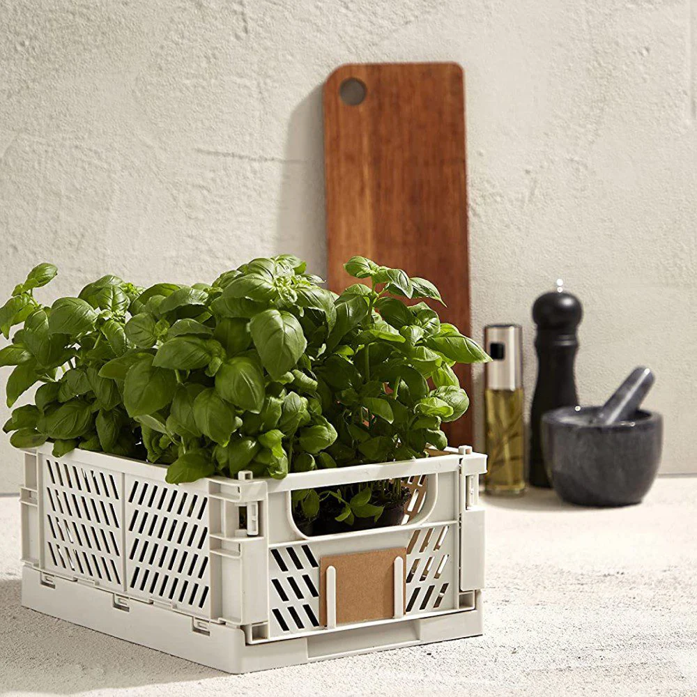 DESIGNSTUFF Slant Collapsible Crate, L, 50x33cm, Tuscany - Image 8