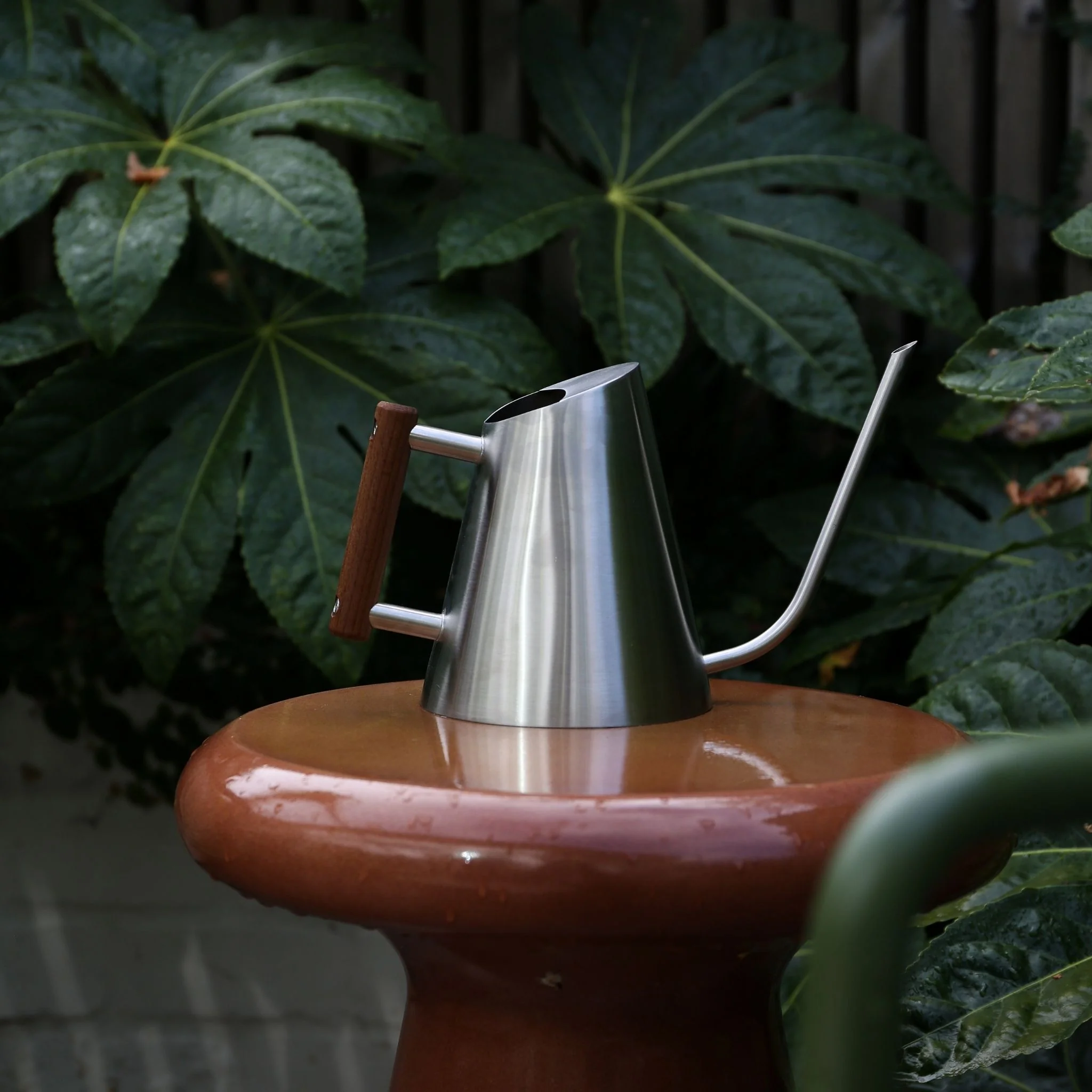 DESIGNSTUFF VIAH Watering Can 1.3L, Stainless Steel/Stained Wood Handle - Image 5