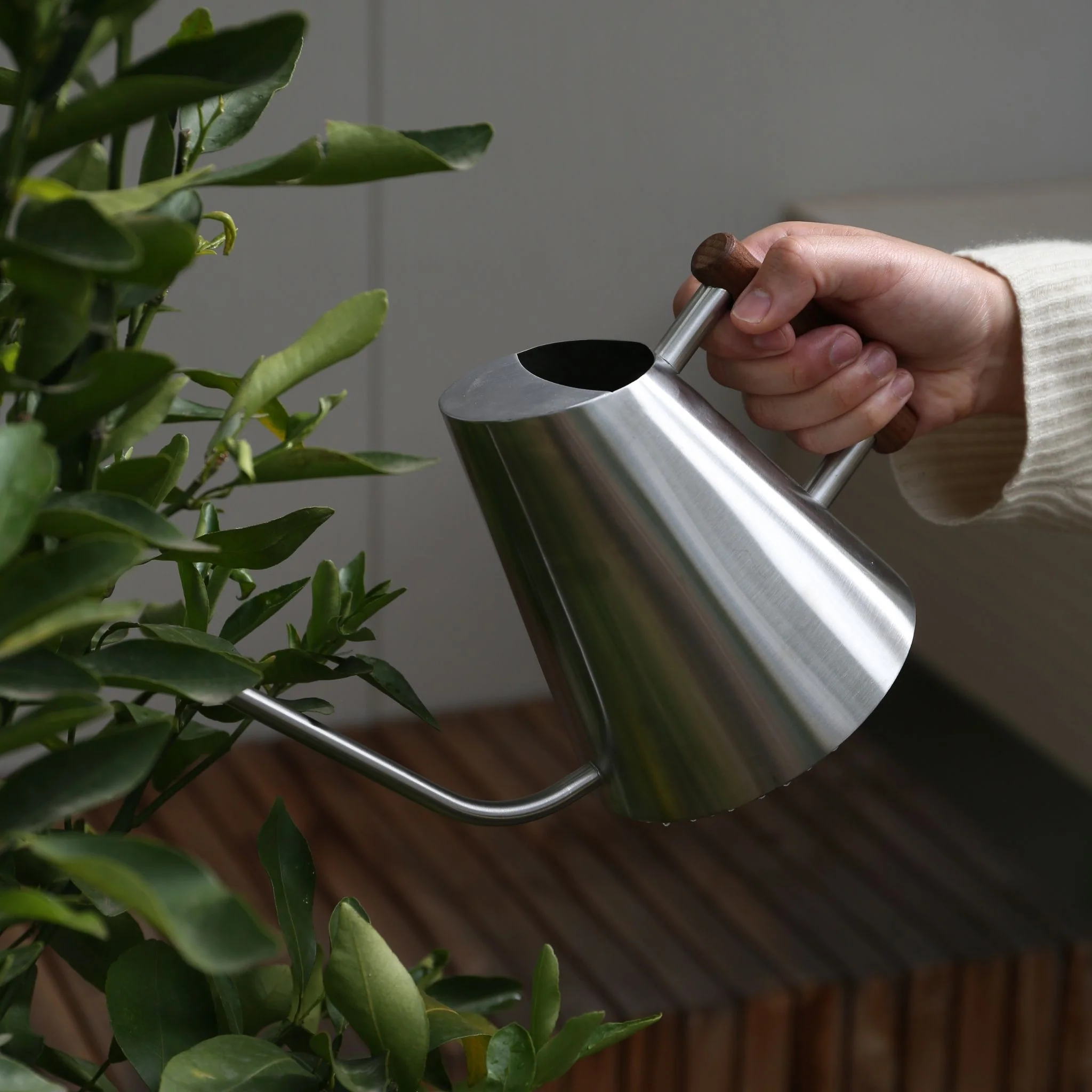 DESIGNSTUFF VIAH Watering Can 1.3L, Stainless Steel/Stained Wood Handle - Image 7