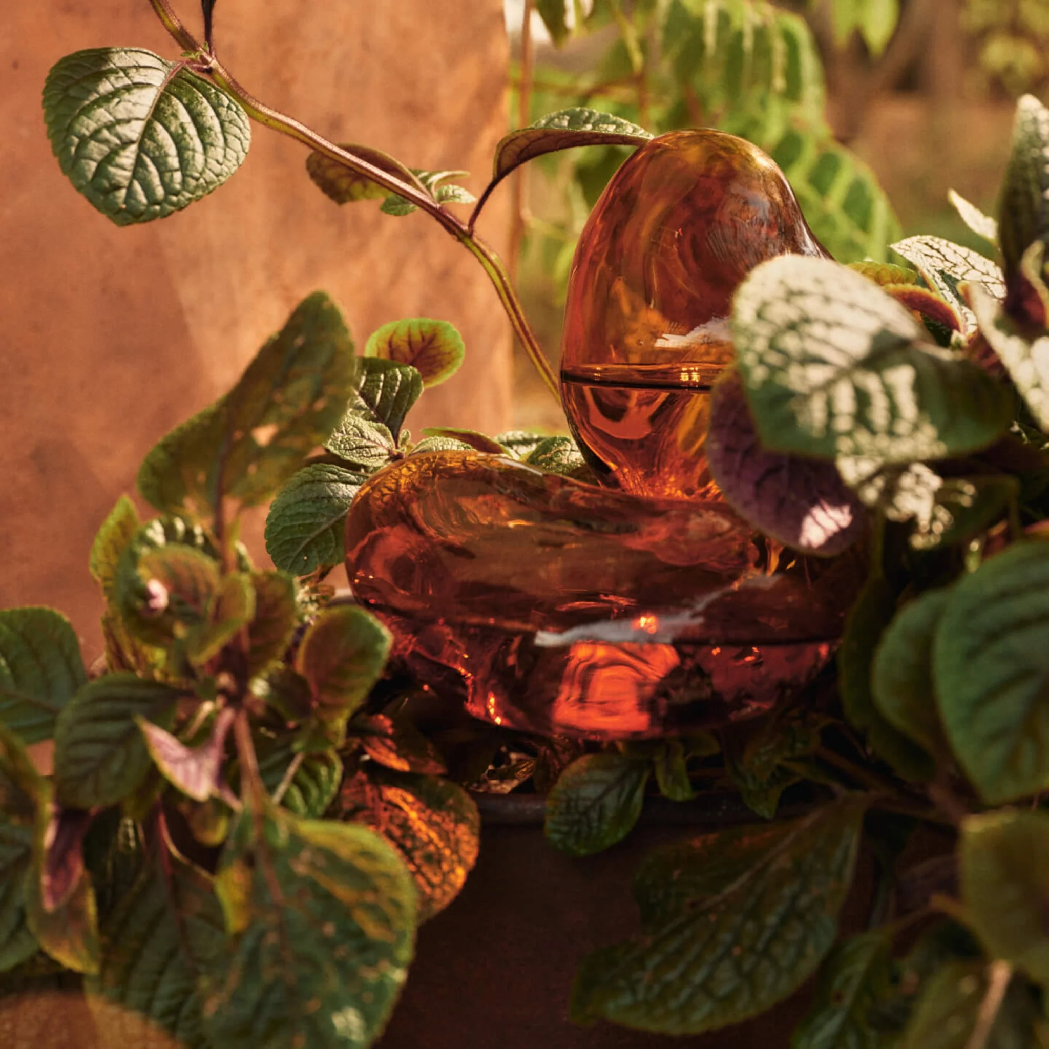FERM LIVING Mercury Water Globes, Amber (Set of 2) - Image 3