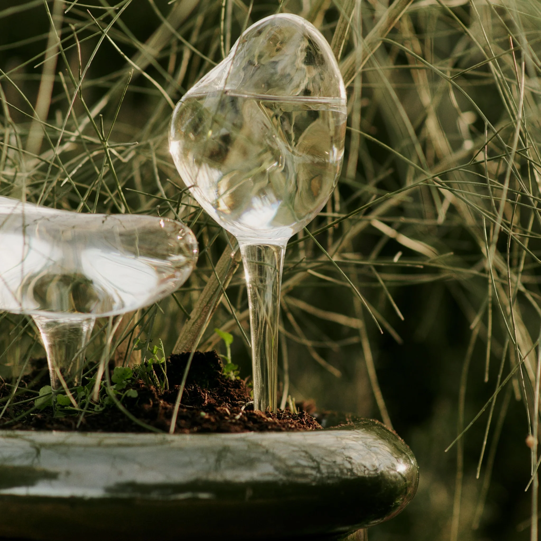 FERM LIVING Mercury Plant Water Globes, Clear (Set of 2) - Image 3