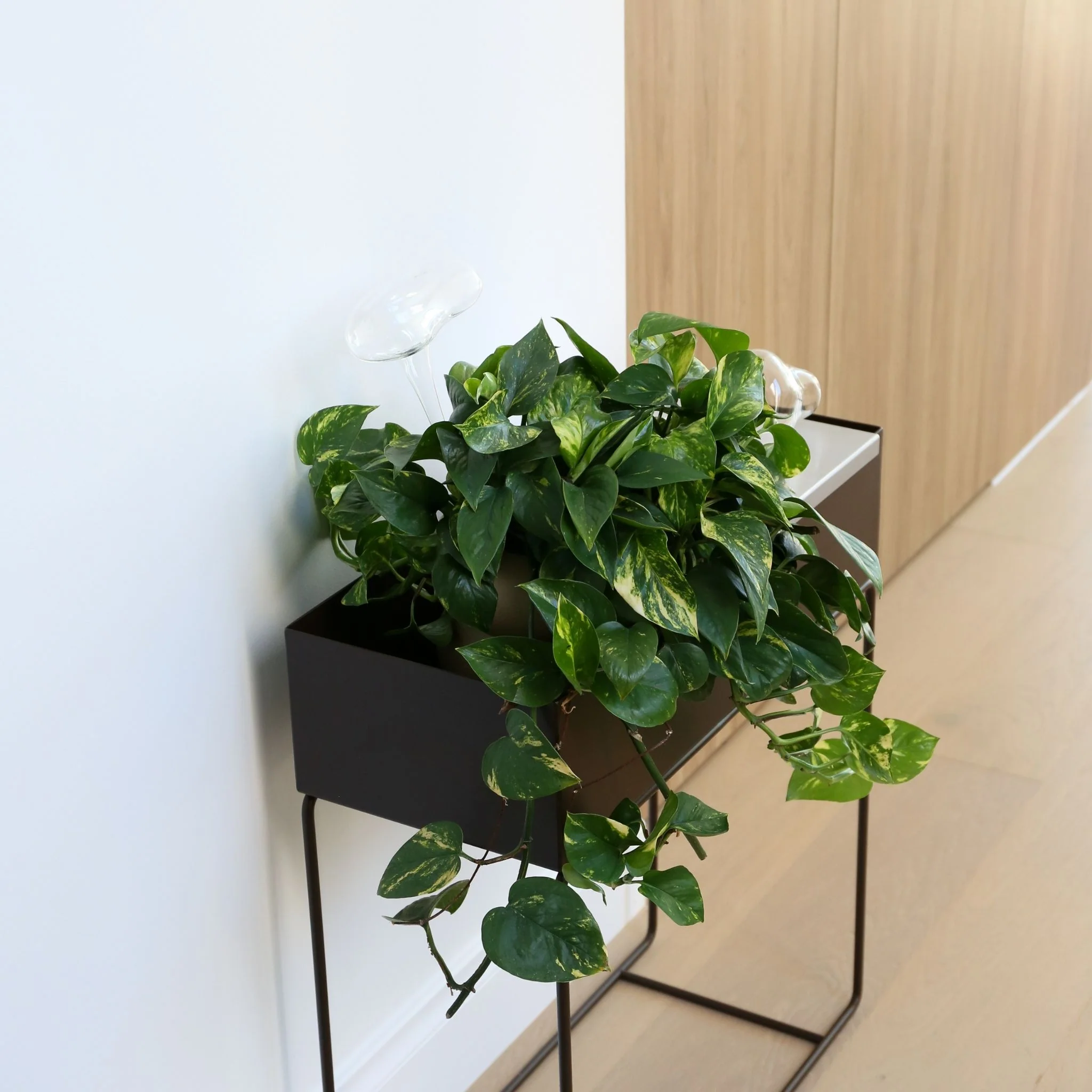 FERM LIVING Plant Box, Dark Chocolate - Image 2