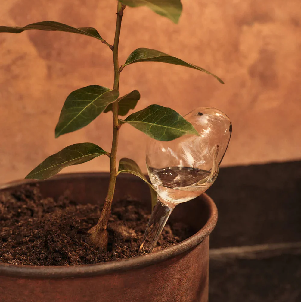 FERM LIVING Mercury Water Globes, Small, Clear (Set of 2) - Image 2