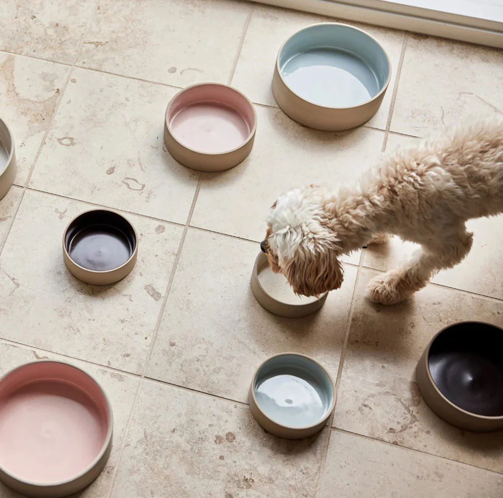 OYOY ZOO Sia Dog Bowl, Ice Blue - 3 Sizes - Image 2