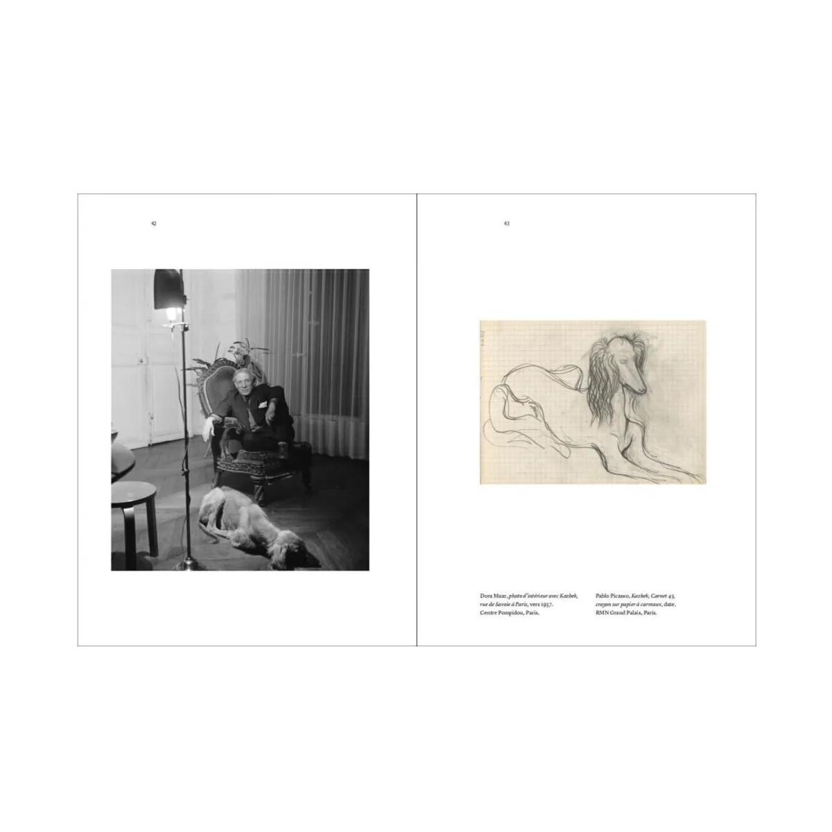 Picasso and his Dogs Coffee Table Book - Image 3